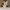 Adorable Fawn Figure: Cute Baby Deer Christmas Decoration 🌲