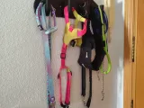 Decorative Wall-Mounted Coat Rack | Entryway Hook Hanger-1