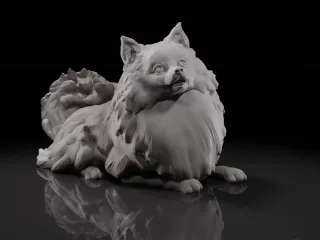 Spitz
