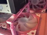 Two Columns GPU Supports-2