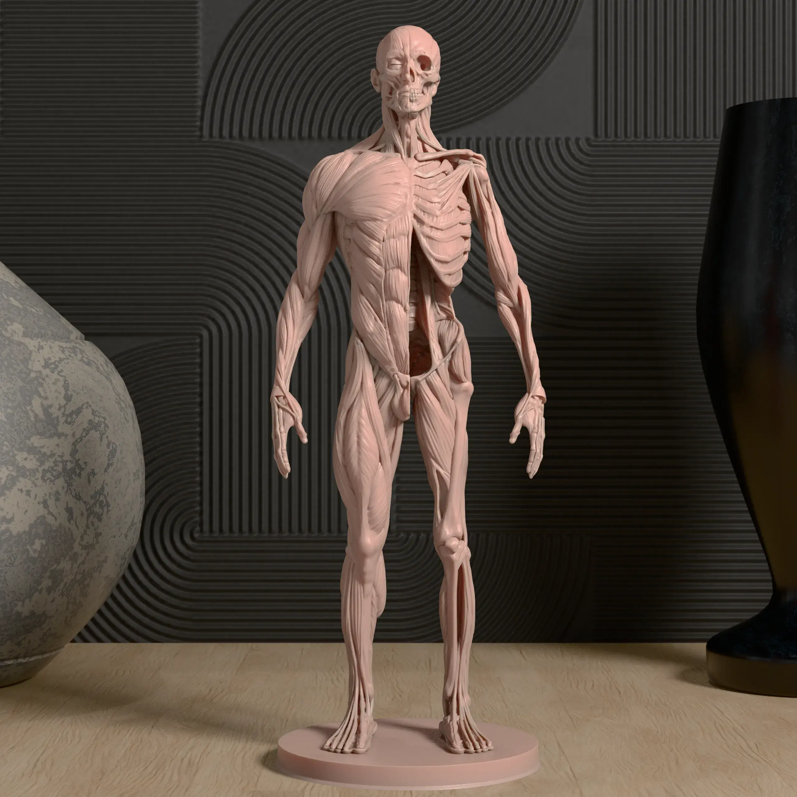 Human Anatomy STL Model