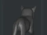 playing cat gato -4