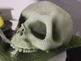 Fallout Death Snail-1