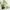 モダンリブプランター 植木鉢 花瓶 シリーズ2