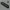 Skoda logo keychian