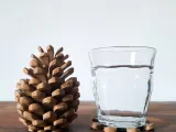 Pine Cone Coasters-1