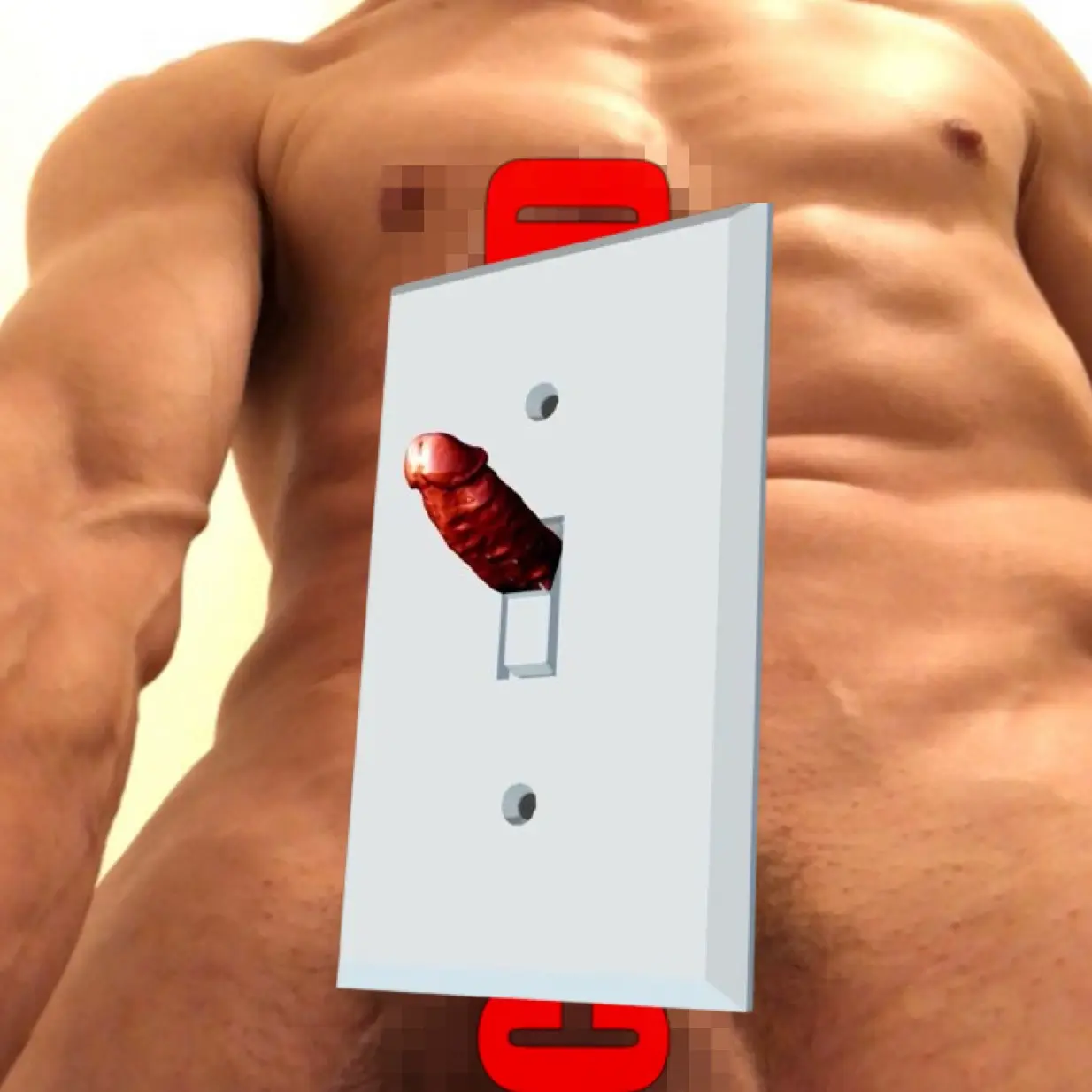 Light Switch Dick