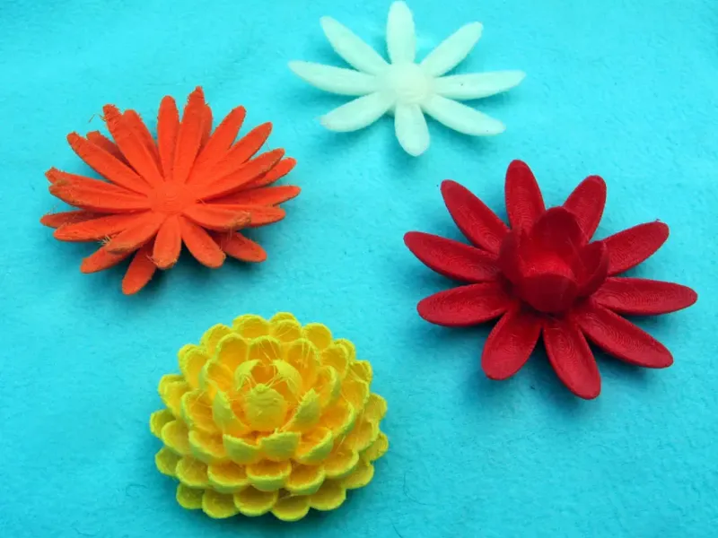 Flower Blossoms