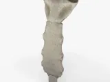 esternón anatomico-1