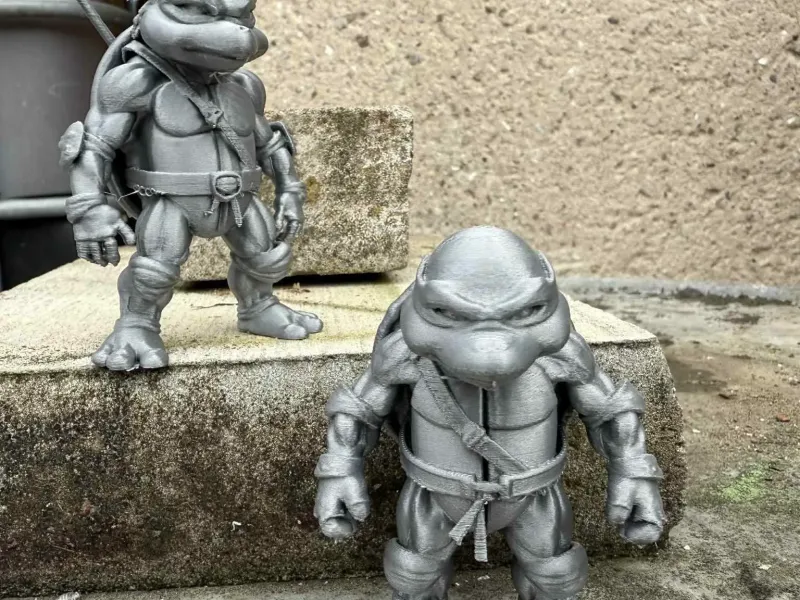 Teenage Mutant Ninja Turtles