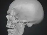 Terrifying Skull Head-1