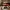 Santa's Legs - Storage Container - Christmas Decoration