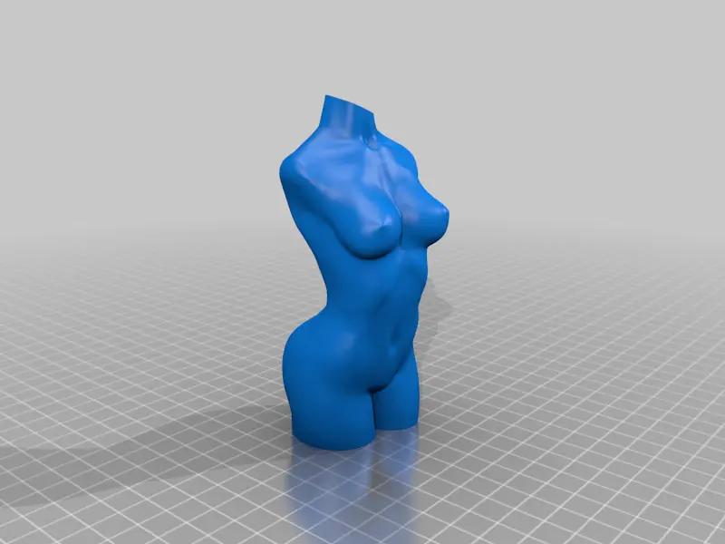Woman torso (vase mode optimized)