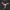 DMC: Devil May Cry 2013 – Aquila Twin Chakram Blades