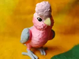 Galah-1