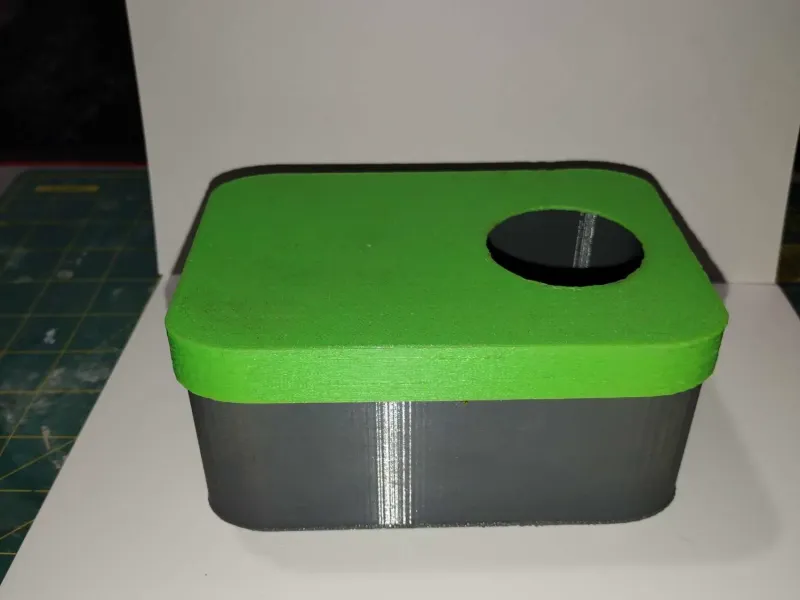 Gecko lay box