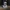 Donald Trump Lowpoly