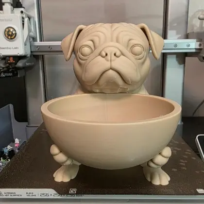 Bowl pug