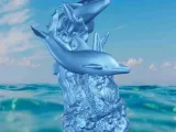 Dolphin seaweed-3