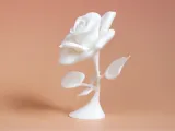 Rose-4