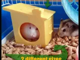 HAMSTER - BIRD house (EASILY WASHABLE)-0