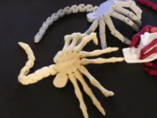 face hugger