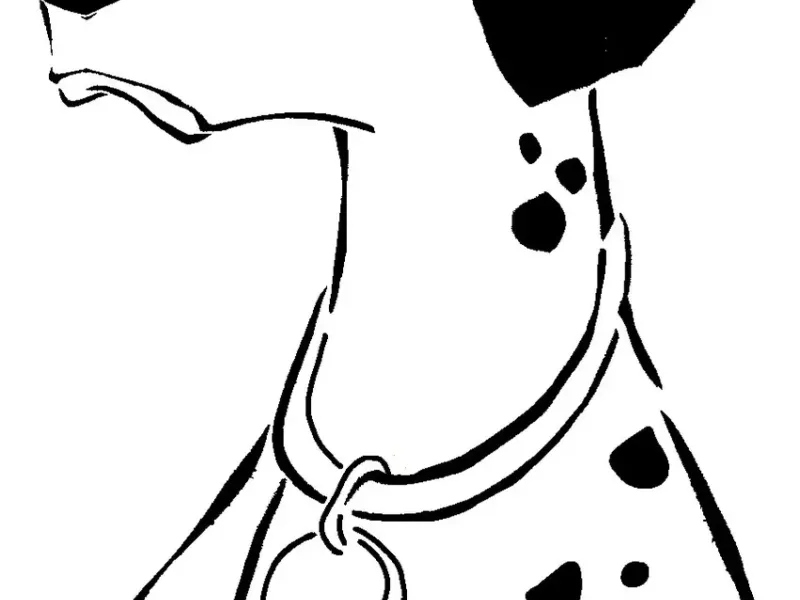 101D Pongo stencil