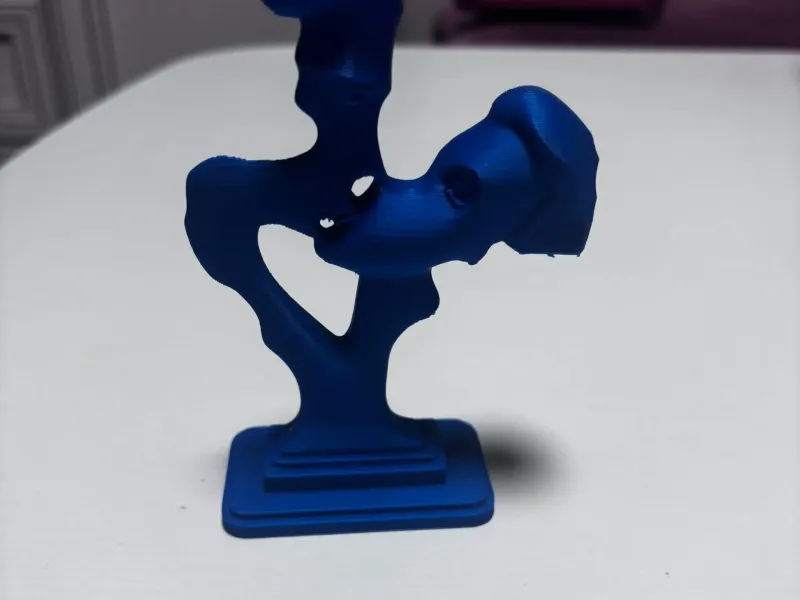 Kissing couple