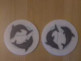 Dolphin Coaster-1
