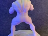 Ultimate Anime Fighter – Dynamic Martial Arts Statue-2