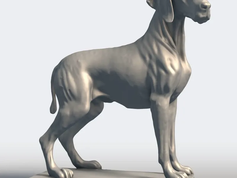 Vizsla Hunting Dog - Hungarian Pointer