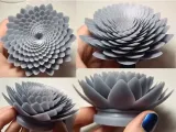 lotus çiçeği düşük çözünürlüklü-0