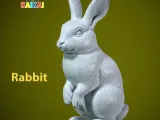 Rabbit rex model urban vibes-0
