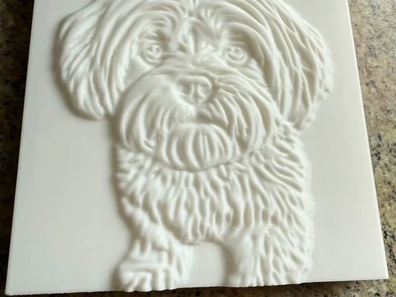 Lhasa apso dog on plaque