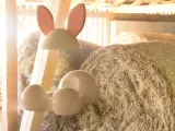 Bunny tale for eggs-3