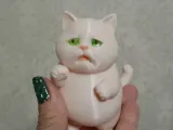 Sad Cat Meme-2
