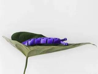Articulated moving slug keychain