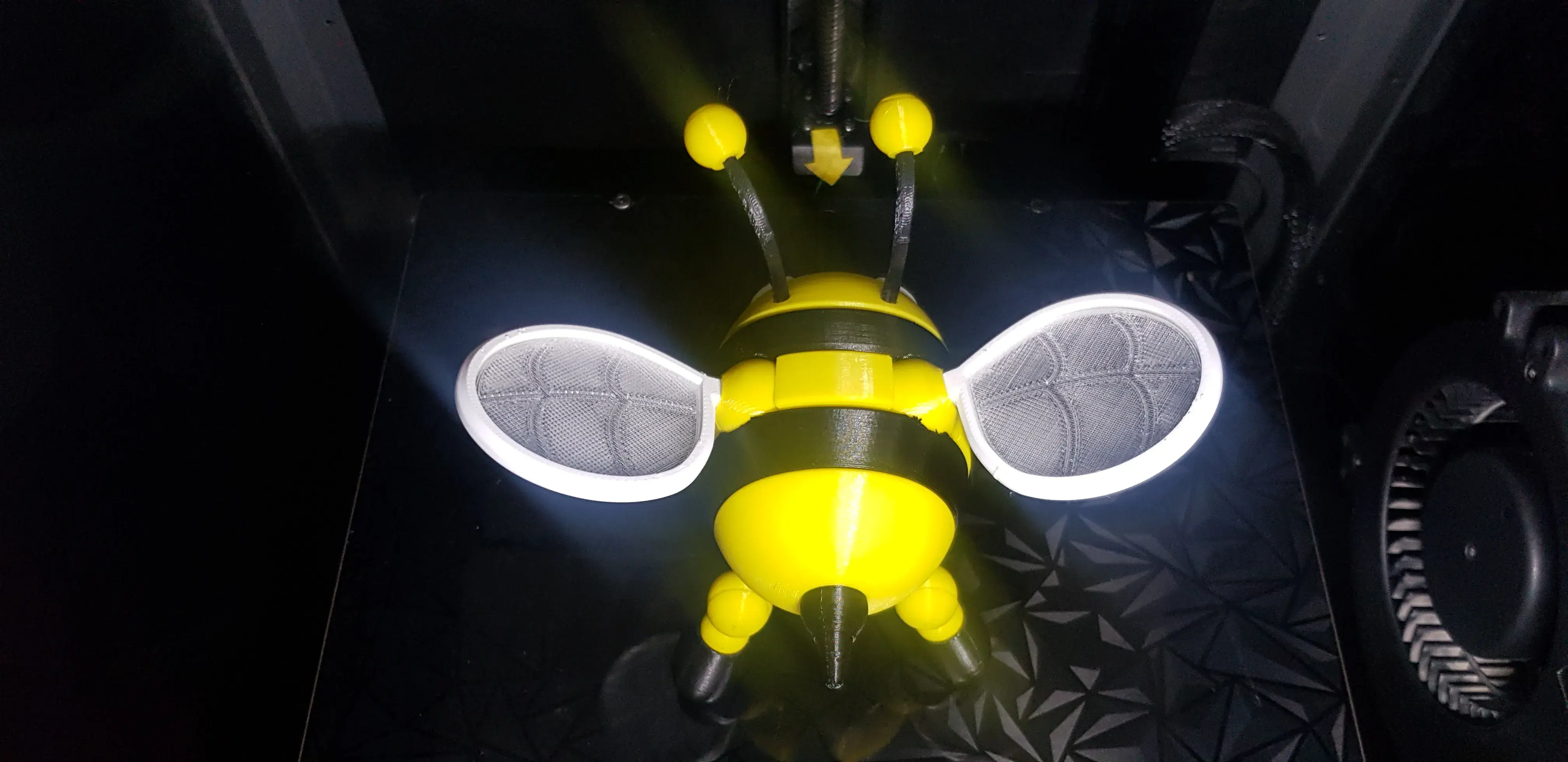 🐝🐝🐝The cute articulated Bee🐝🐝🐝