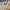 HexaCore Gitterband – Noah0x03