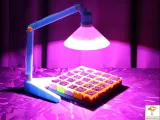 E27 Grow Light - Falconsson Multipurpose Desk Lamp-6