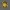 Bitcoin Desktopstandaard