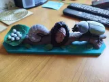 Life Cycle of a Beetle – Educational Dung Beetle Metamorphosis-1