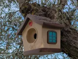 Cute Bird House-5