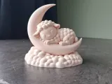 Sleeping Lamb on Moon-3