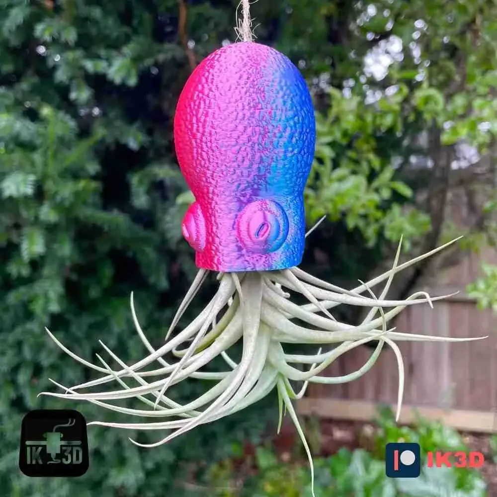 HANGING OCTOPUS AIR PLANT HOLDER
