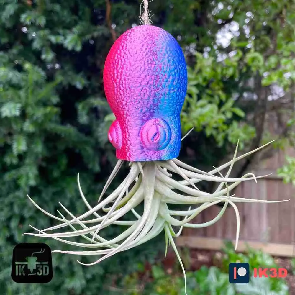SUPORTE PARA PLANTAS SUSPENSAS DE POLVO