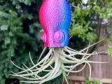 SUPORTE PARA PLANTAS SUSPENSAS DE POLVO-1