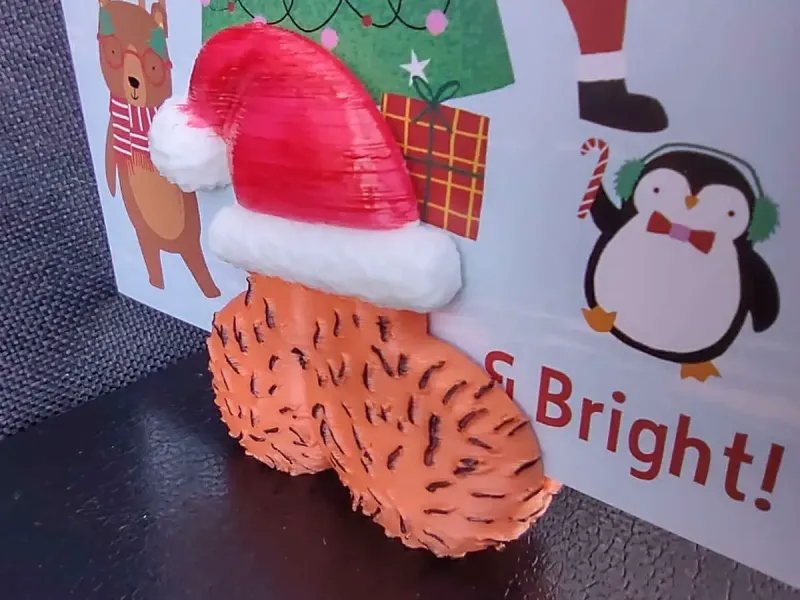 Cheeky Christmas Willy in Santa's hat Card Holder 🎄🍆