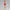 Mara Linden – Berry Charm Edition