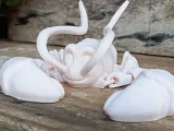 Lobster-4